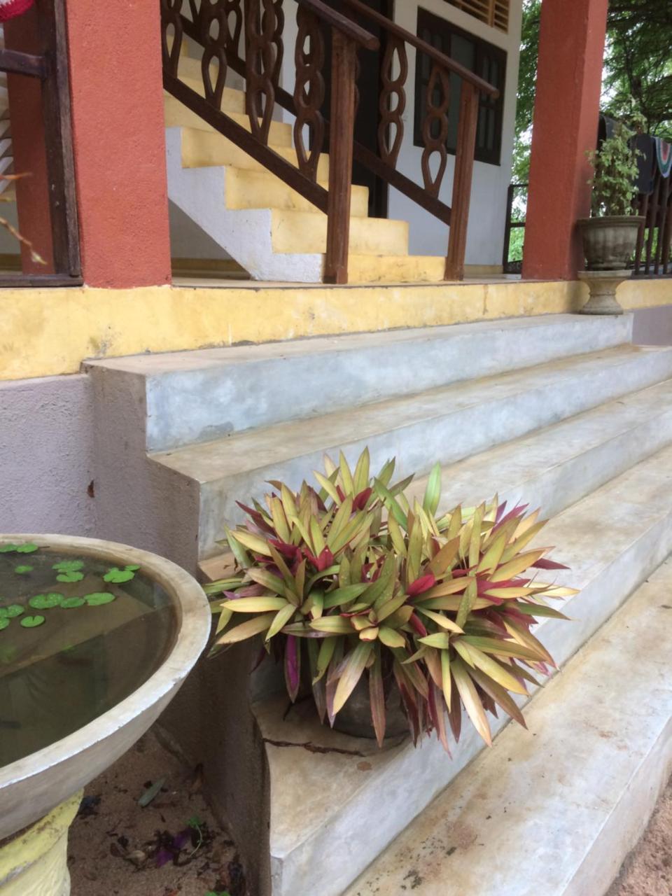 Aloha Beach Resort Tangalle Exterior foto